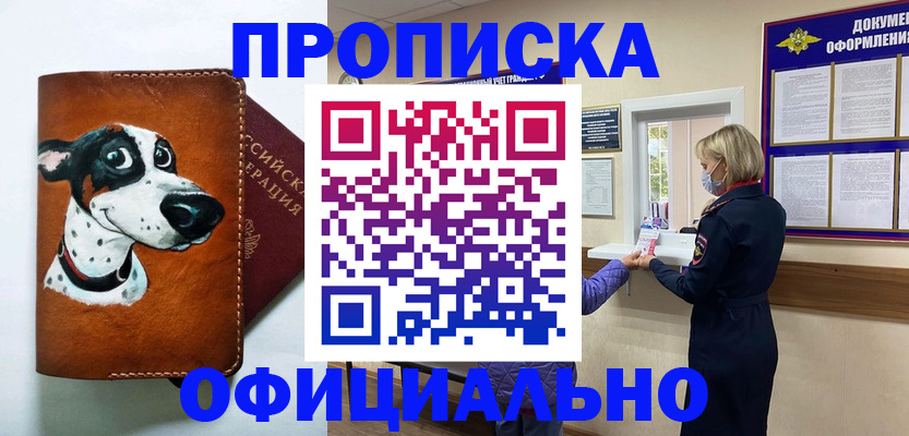 где прописаться в Москве